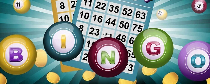 Free bingo games no download no registration
